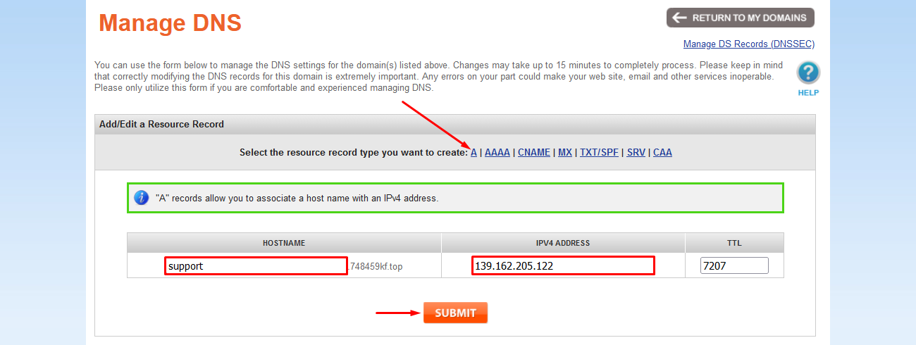 Screenshot of a domain DNS management form in NameSilo